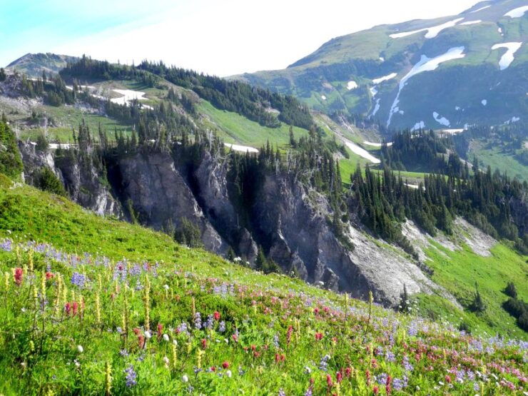 Mt Rainier, Seattle, & Olympic NP Self-Guided Audio Tours - Activity Details