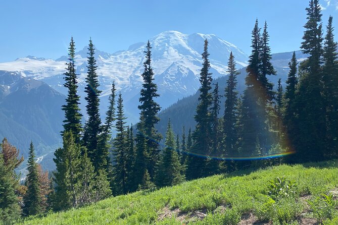 Mt. Rainier Three Burroughs Trail Semi-Private Guided Hike  - Seattle - Tour Details
