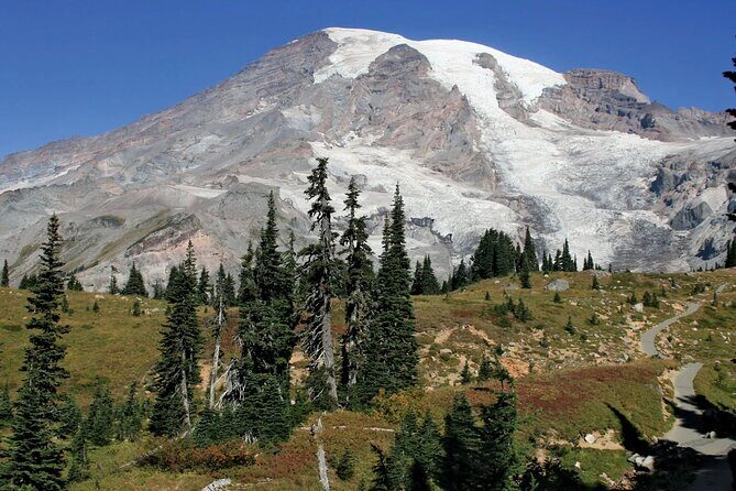 Mt. Rainier tour with Gandola ride at Sunrise and Paradise - The Value of This Tour: What You’re Really Getting