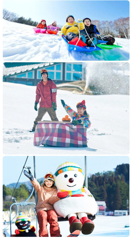 Mt Rokko Snow Park and Arima Onsen Ski Tour from Osaka - Is this Mt. Rokko and Arima day trip right for you?