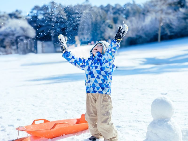 Mt. Rokko Snow Park Full-Day Guided Tour with Buffet - What the price includes, and where the value lies