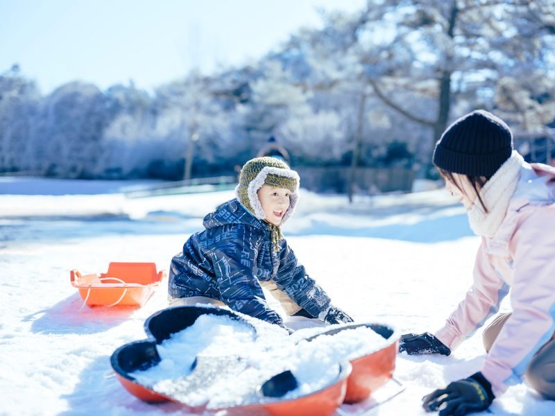 Mt. Rokko Snow Park Full-Day Guided Tour with Buffet - Should you book it?