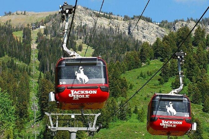 Mt Rushmore Yellowstone and Arches National Parks 6 day Tour - Final Thoughts: Who Is This Tour Best For?