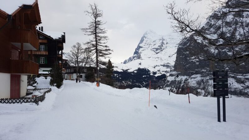 Mt. Schilthorn & Mürren Private Day Trip from Zürich - The Skyline View Platform and Additional Sightseeing