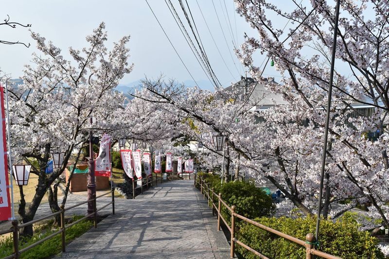 Mt. Senkoji Ropeway - The short ride that puts Onomichi in view