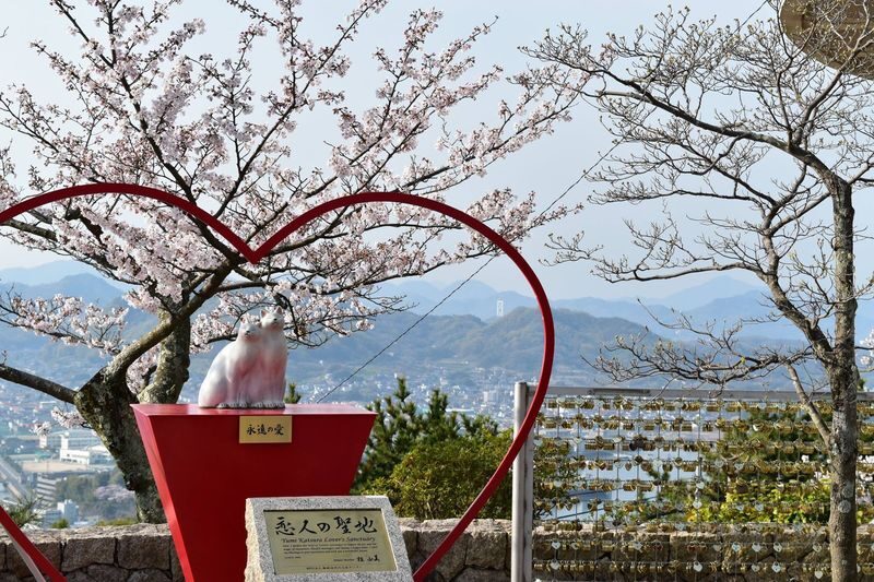 Mt. Senkoji Ropeway - Timing, arrival and the practical details