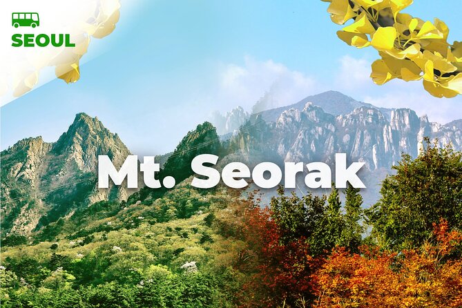 Mt. Seorak & The Tallest Ginko Tree at Yongmunsa - The Tallest Ginko Tree: A Majestic Sight