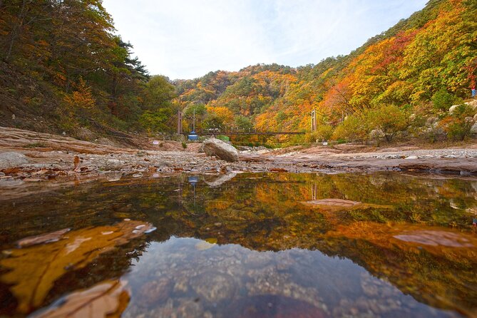 Mt. Seorak & The Tallest Ginko Tree at Yongmunsa - Wildlife and Flora: Discovering Natures Treasures