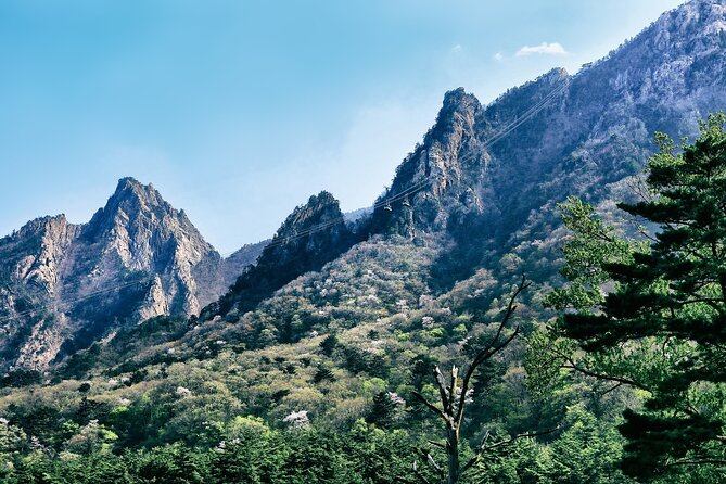 Mt. Seorak & The Tallest Ginko Tree at Yongmunsa - Spectacular Views: Captivating Landscapes at Mt. Seorak