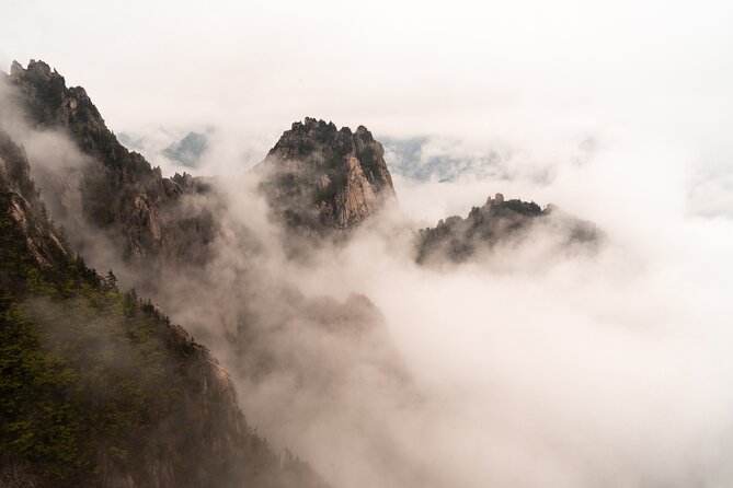 Mt. Seorak Tour - Viator Help Center and Customer Support