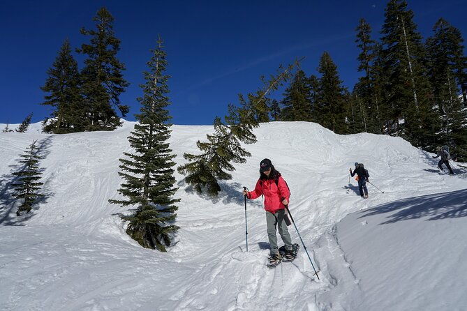 Mt. Shasta Snowshoeing Tours - Good To Know