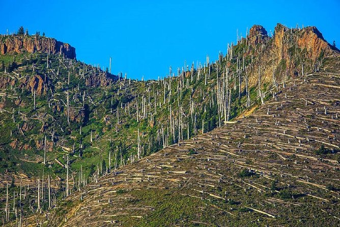 Mt. St. Helens National Monument From Seattle: All-Inclusive Small-Group Tour - Tour Experience
