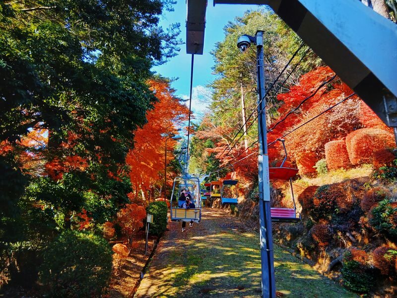 Mt. Takao Full-Day Tour with Tattoo-Friendly Hot Spring - Mt. Takao and a Hot Spring in One Day