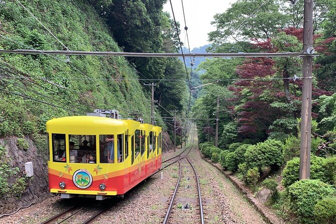 Mt.TAKAO Trekking 1 Day Tour - Optional Add-ons