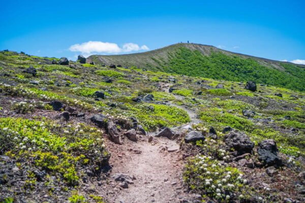Mt. Tarumae: Hike Around an Active Volcanos Lava Dome! - Safety and Cancellation Policies