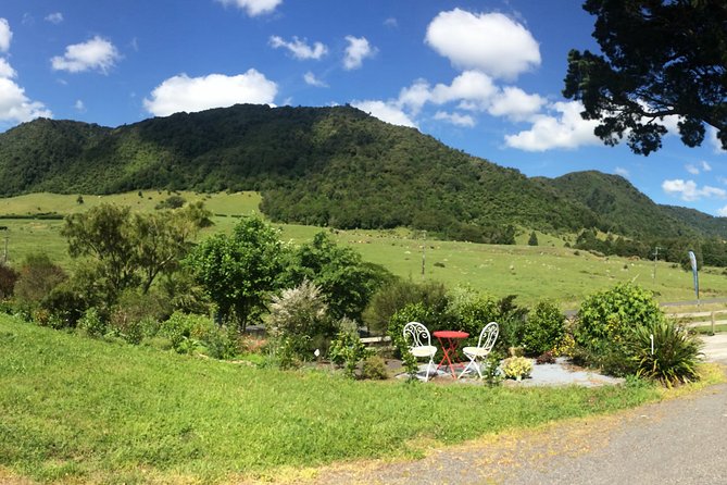 Mt. Te Aroha Bike Hire & Tours - Additional Info and Cancellation Policy