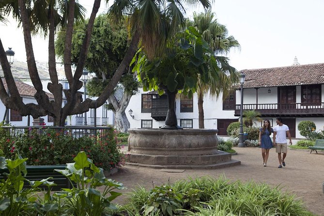 Mt. Teide and Masca Valley Tour in Tenerife - Booking and Flexibility