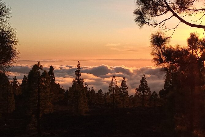 Mt Teide Volcano Night Guided Tour From Southern Tenerife - Tour Overview