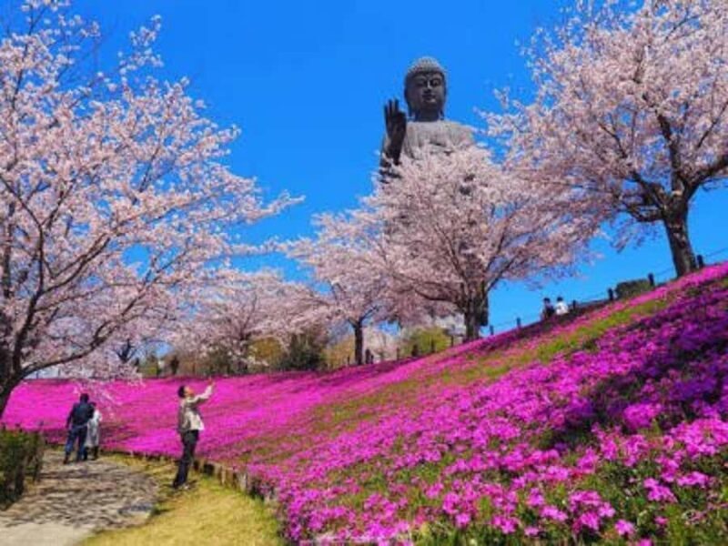 Mt Tsukuba Amazing Day Tour - Exploring the Mt Tsukuba Amazing Day Tour: A Genuine Look at Japan’s Hidden Gems