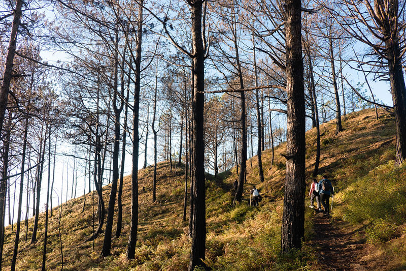 Mt. Ulap Hiking Day Tour from Baguio - What the day’s schedule tells you