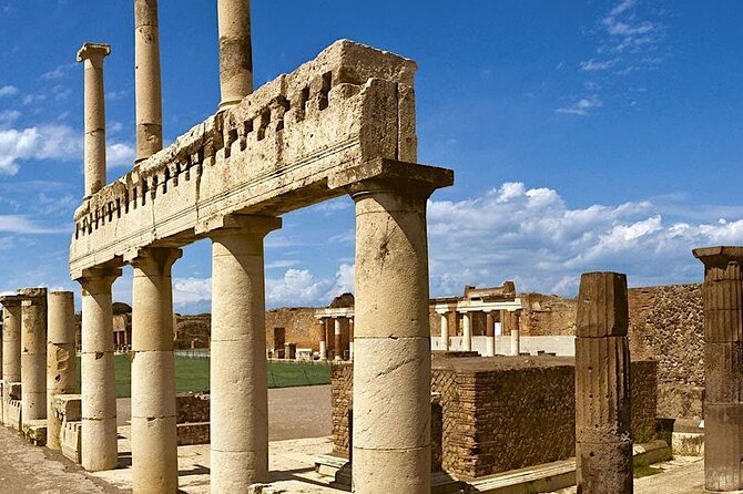 Mt. Vesuvius and Pompeii Full-Day Tour From Sorrento - Reviews