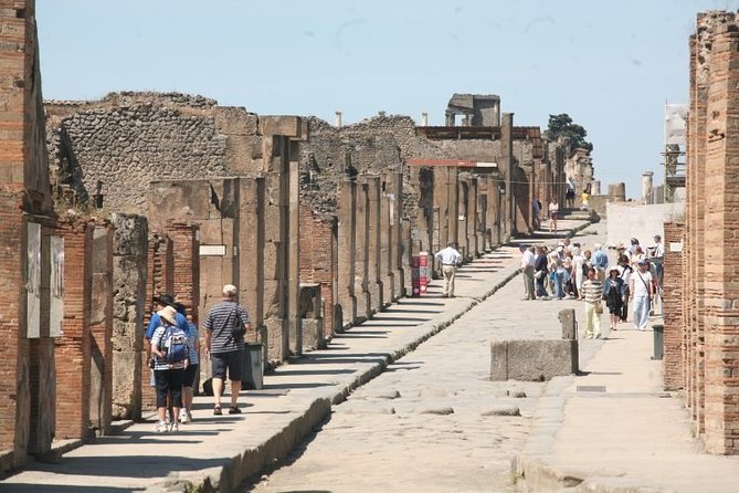 Mt. Vesuvius and Pompeii Full-Day Tour From Sorrento - The Sum Up