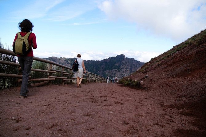 Mt Vesuvius and Pompeii Tour by Bus From Sorrento - Common Questions