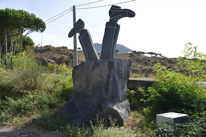 Mt. Vesuvius From Sorrento Coast Tour With Pick-Up - Start Time and Ticket Redemption