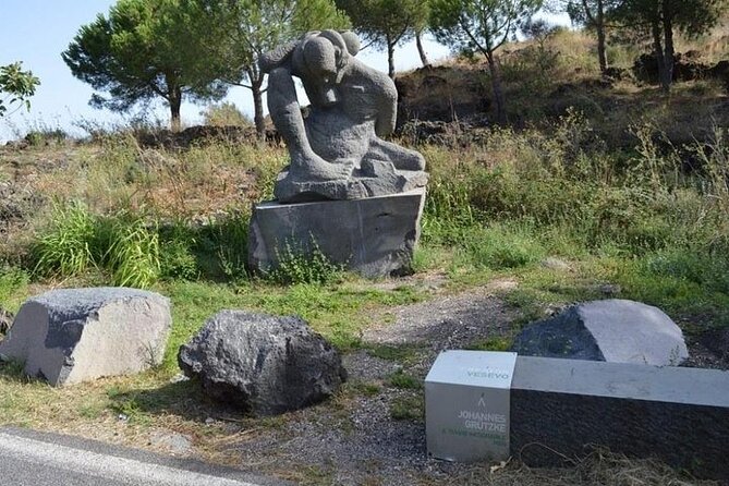 Mt. Vesuvius From Sorrento Coast Tour With Pick-Up - Cancellation Policies