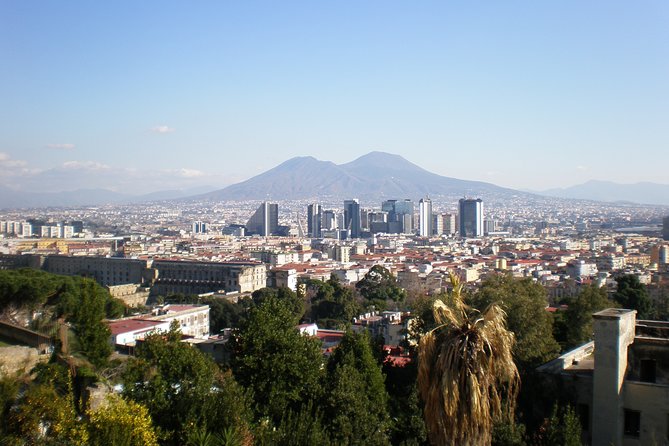 Mt Vesuvius Half-Day Trip From Naples - Inclusions and Transportation