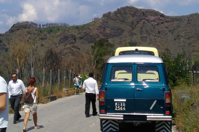 Mt. Vesuvius (Tour+Transfer) - Reviews