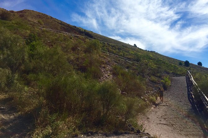 Mt. Vesuvius (Tour+Transfer) - Pickup and Drop-off