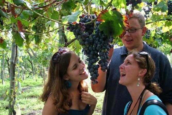 Mt. Vesuvius Wine Tasting and Lunch Experience From Pompeii - Tips for a Memorable Experience
