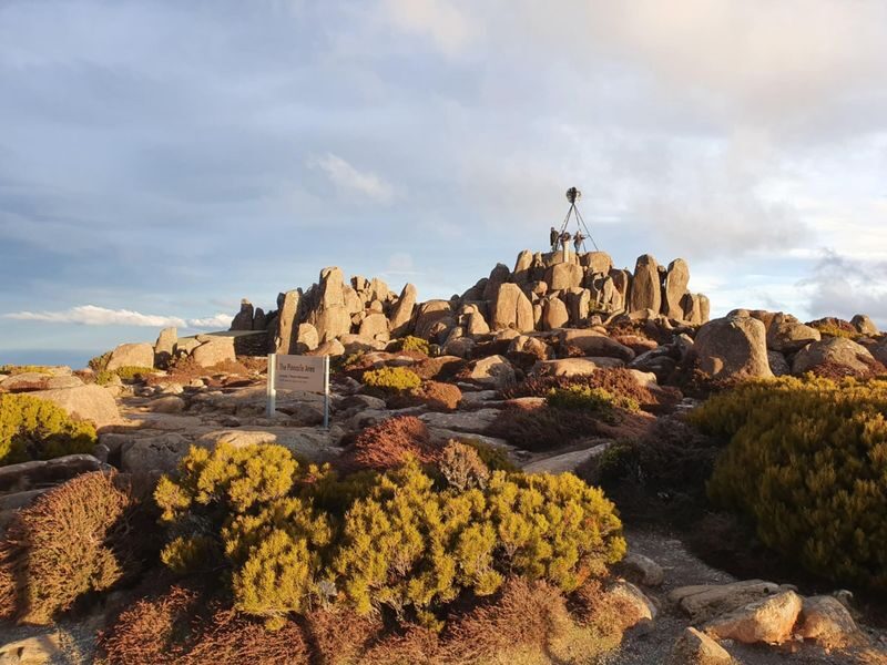 Mt Wellington Afternoon Small Group Tour - The summit and Pinnacle lookout