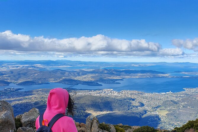 Mt Wellington Beyond a Passing Glance Small Group Tour - Booking and Pricing Information