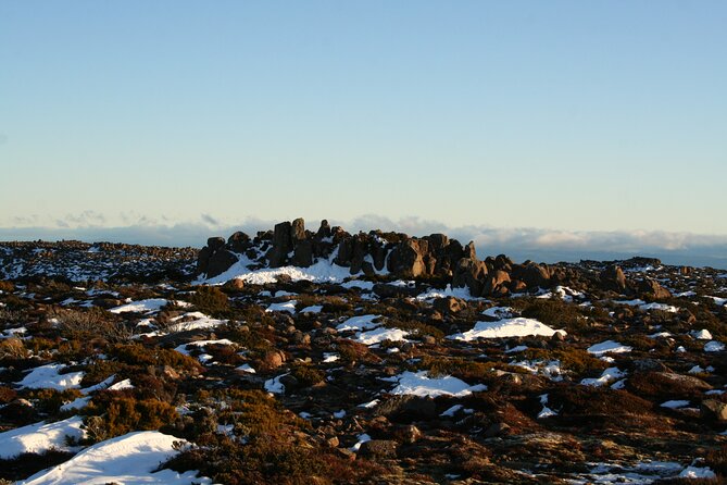 Mt. Wellington, Bonorong and Richmond Day Tour From Hobart - Richmond and Local History