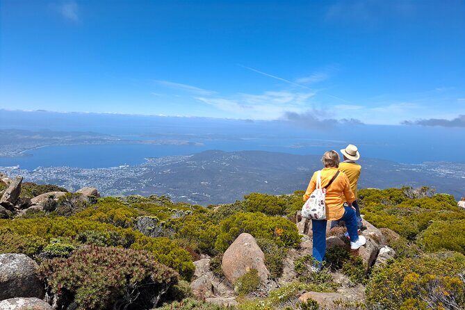 Mt Wellington Hobart Shore Excursion - A Closer Look at the Hobart Shore Excursion to Mt. Wellington