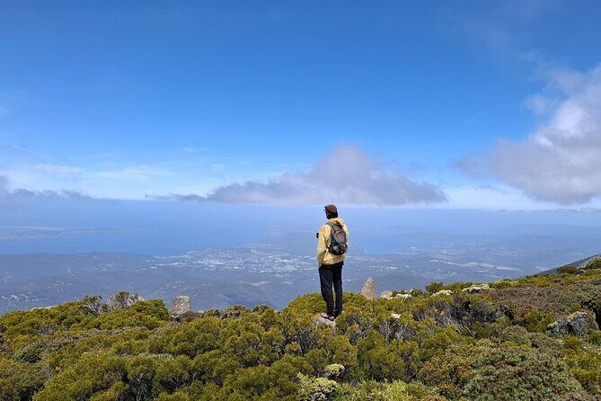 Mt Wellington Hobart Shore Excursion - Practical Details