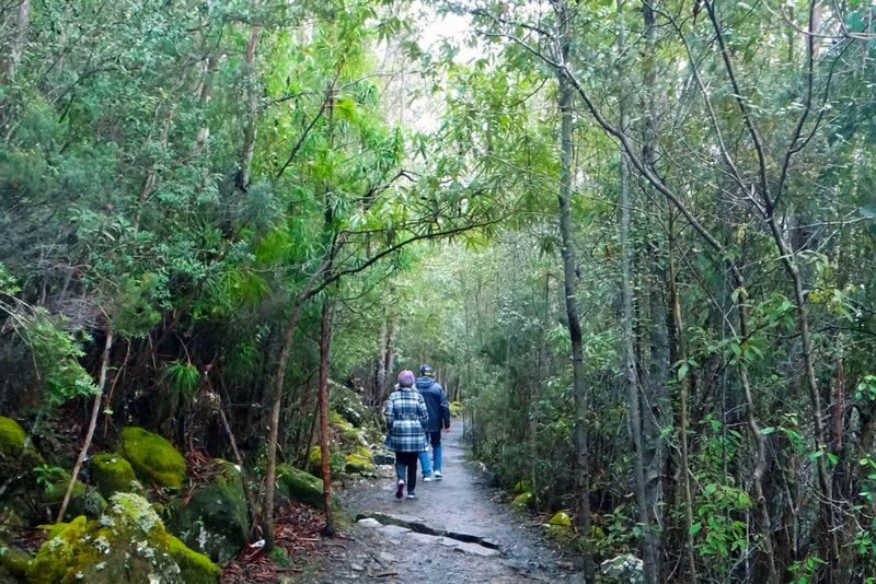 Mt Wellington / Kunanyi 2.5 hour Tour - Hop on Hop Off Explorer Bus - At the summit: big views, short visit