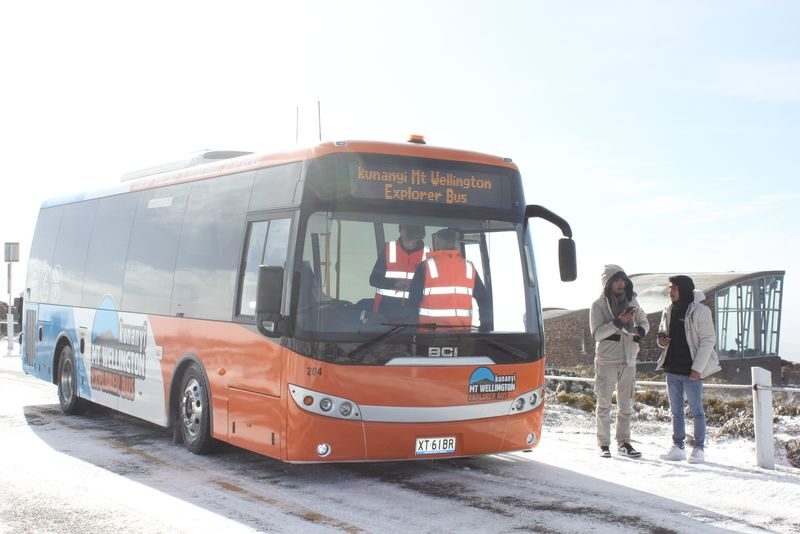 Mt Wellington / Kunanyi 2.5 hour Tour - Hop on Hop Off Explorer Bus - Is the all-day pass good value?