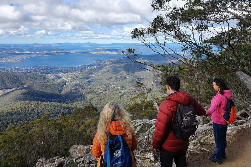 Mt Wellington Morning Walking Tour - A brief pause at The Springs
