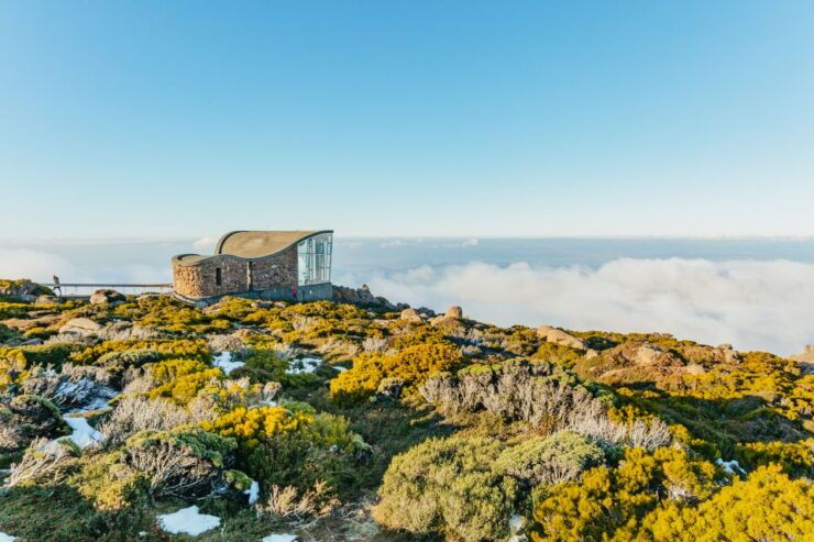 Mt Wellington, Mt Field, Bonorong & Richmond Day Trip - Activity Details
