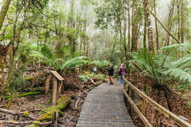 Mt Wellington, Mt Field, Bonorong & Richmond Day Trip - Additional Details