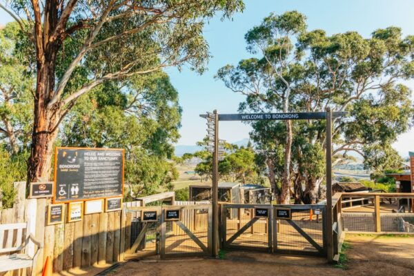 Mt Wellington, Mt Field, Bonorong & Richmond Day Trip - Directions