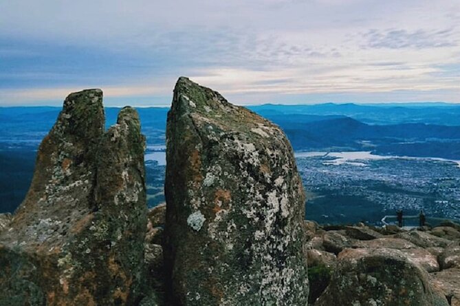 Mt Wellington Tour and MONA Admission - Reviews and Highlights