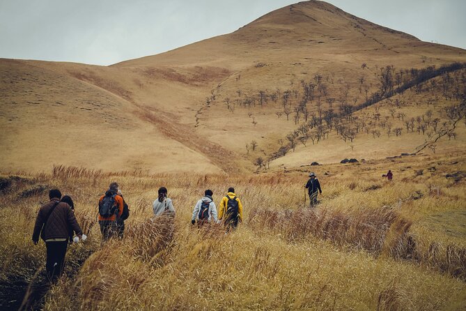Mt. Yufu Grassland Private Hiking and Lunch - Tour Location