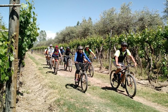 MTB - a Tour of the Wineries and Their Vineyards - Tour Overview