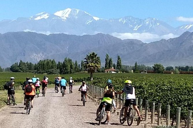 MTB - a Tour of the Wineries and Their Vineyards - Operating Hours
