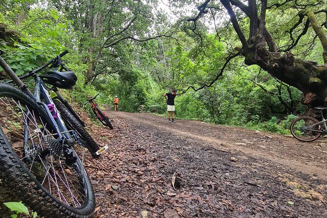 MTB Bike Tour: Monkey Tree + Tule Tree - Good To Know  