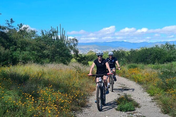 MTB Bike Tour: Monkey Tree + Tule Tree - The Sum Up: Is This Tour for You?